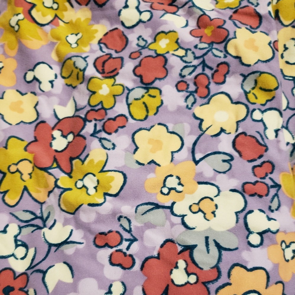 Disney Lularoe TC leggings